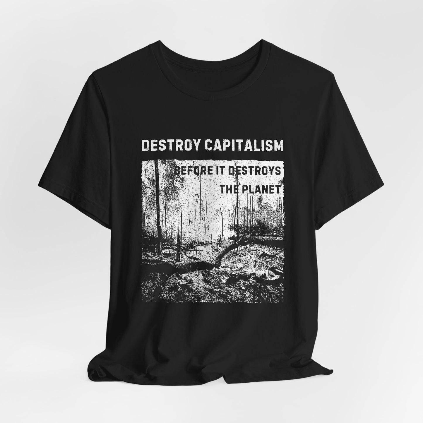 Destroy Capitalism Anarchist T-shirt, Green Anarchist Tee, Anti- Capitalist Graphic Unisex Top