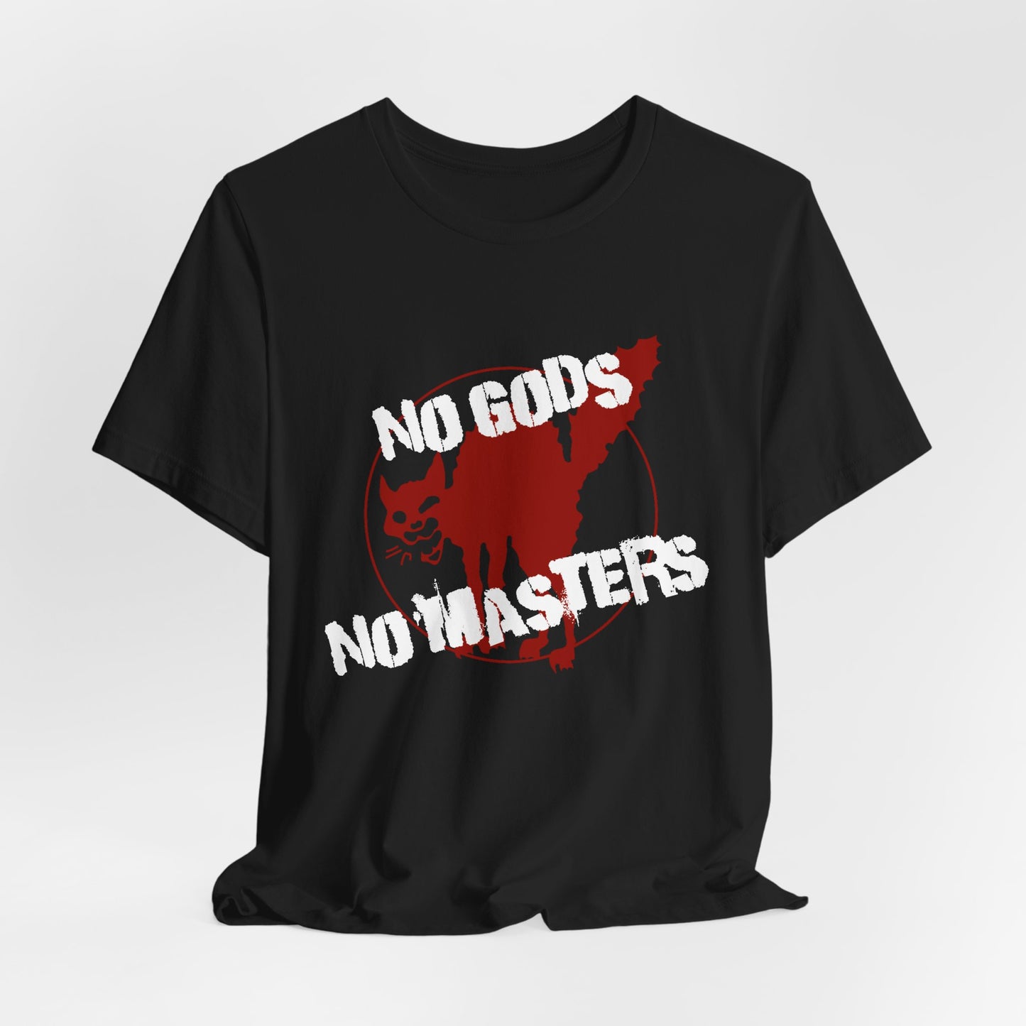 no gods no masters, anarchy print, punk tshirt, counterculture tshirt, unisex tee