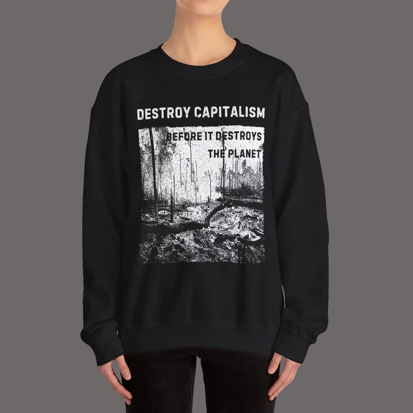 Destroy Capitalism Anarchist Sweatshirt, Green Anarchist Shirt, Anti- Capitalist Graphic Unisex Top