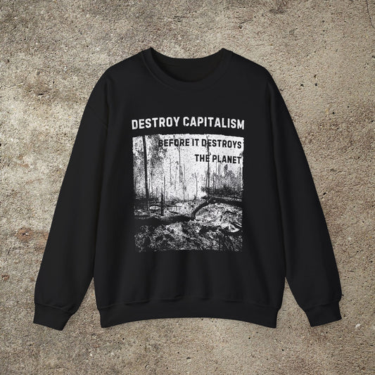 Destroy Capitalism Anarchist Sweatshirt, Green Anarchist Shirt, Anti- Capitalist Graphic Unisex Top