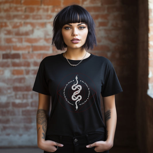two snakes t-shirt, as above so below, alchemy shirt, unisex tee, esoteric top