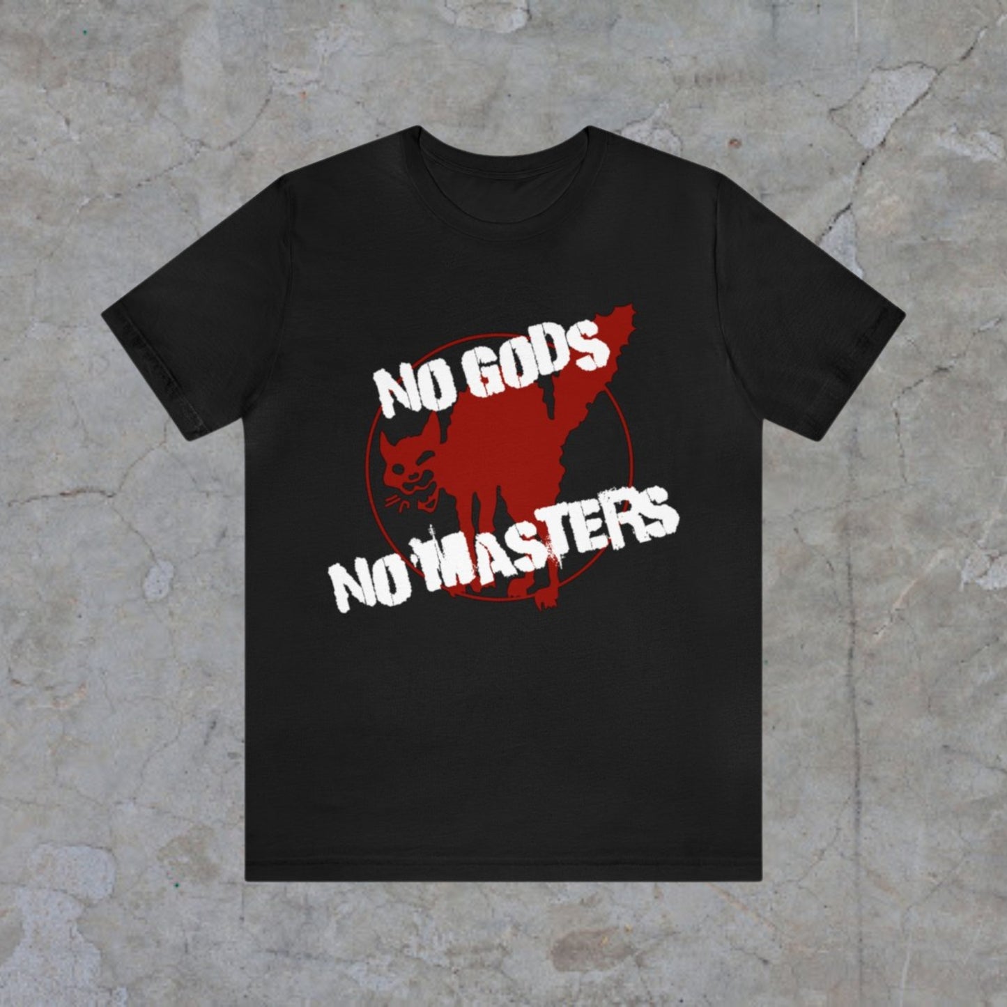 no gods no masters, anarchy print, punk tshirt, counterculture tshirt, unisex tee