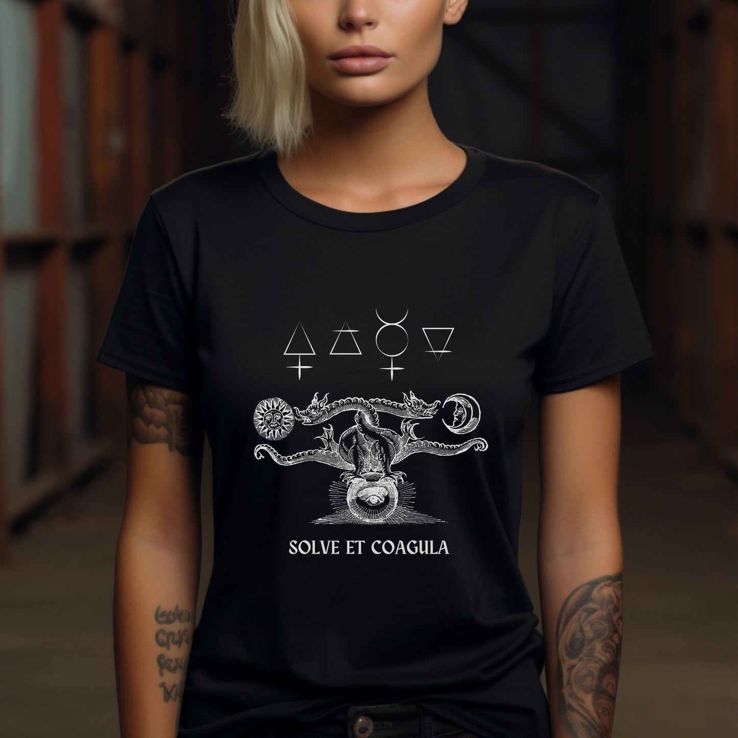 solve et coagula occult double dragon alchemy t-shirt, esoteric unisex tee, hermeticism