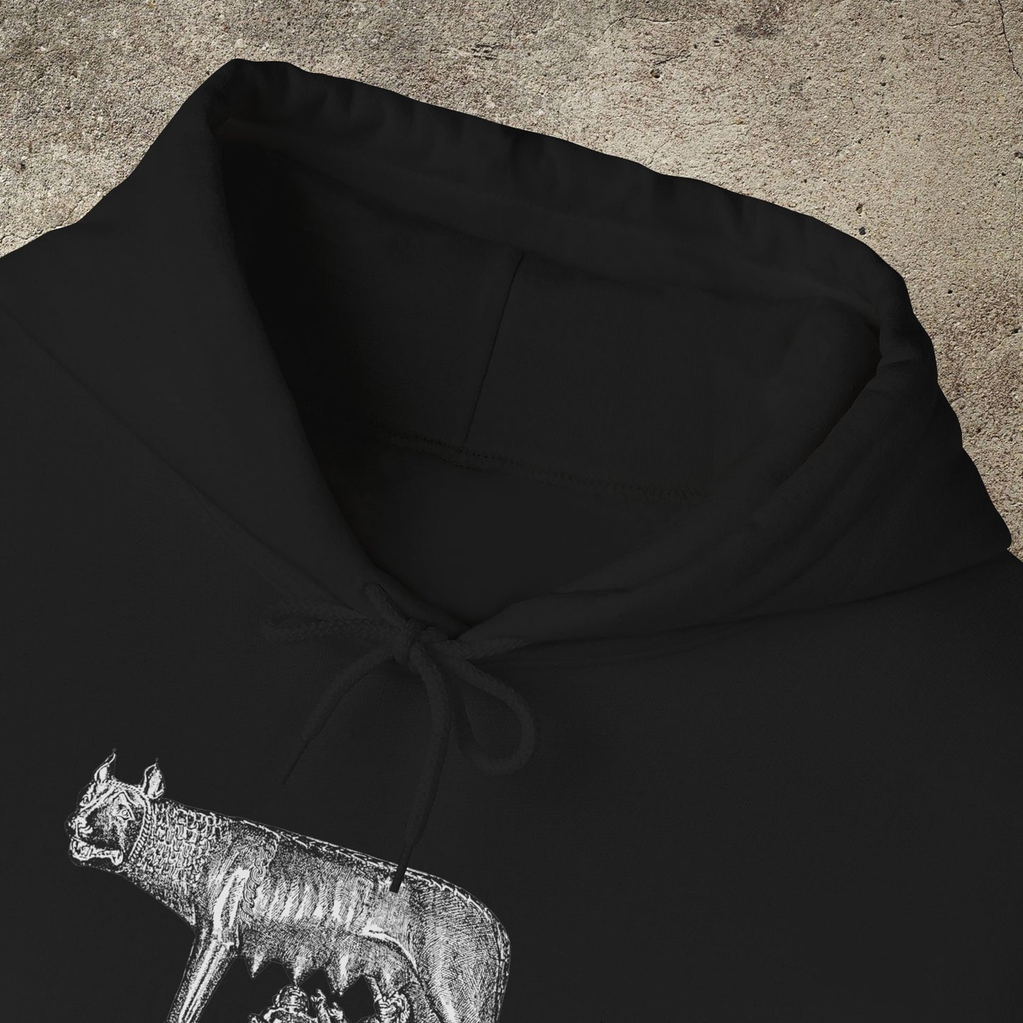 Roman Empire She Wolf Graphic Print, Mythology Print Unisex Hoodie, Romulus and Rem, Unisex Hooded Top